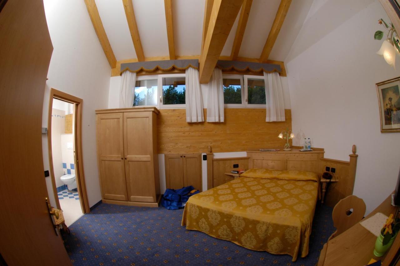 לביקו טרמה Hotel Daniela מראה חיצוני תמונה